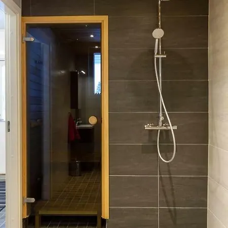 Villa Arctic Aurora Holiday Sinettä